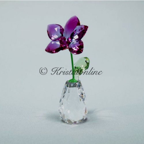 Bloemendromen - Orchidee